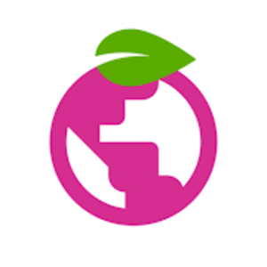 Berry Browser v3.14.12 (Mod) Apk