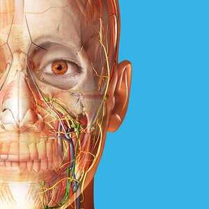 Human Anatomy Atlas 2023: Complete 3D Human Body v2023.05.005 (Paid)