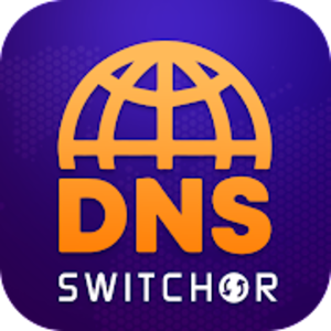 DNS Switcher IPv4 & IPv6 v1.0 (Premium) APK