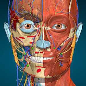 Anatomy Learning – 3D Anatomy v2.1.380 (Mod)