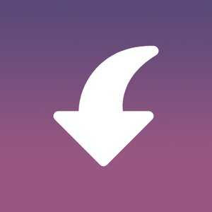 Insget – Instagram Downloader v3.8.3 (Premium)